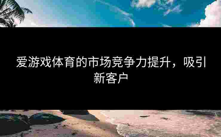 爱游戏体育的市场竞争力提升，吸引新客户