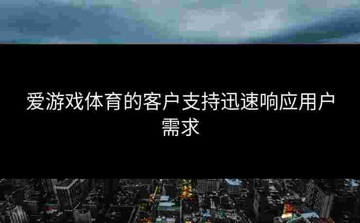 爱游戏体育的客户支持迅速响应用户需求