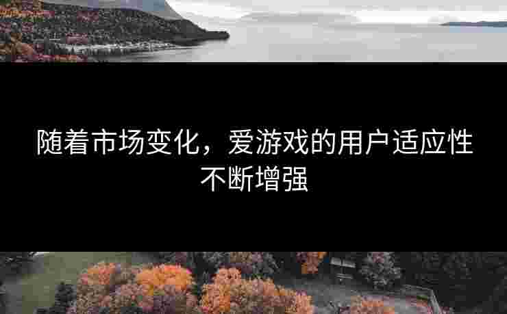 随着市场变化，爱游戏的用户适应性不断增强