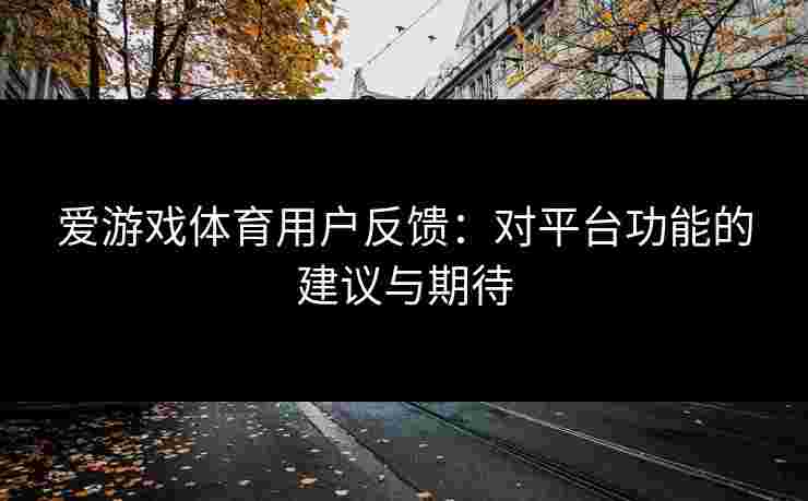 爱游戏体育用户反馈：对平台功能的建议与期待