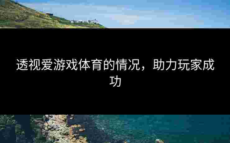 透视爱游戏体育的情况，助力玩家成功