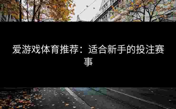 爱游戏体育推荐：适合新手的投注赛事